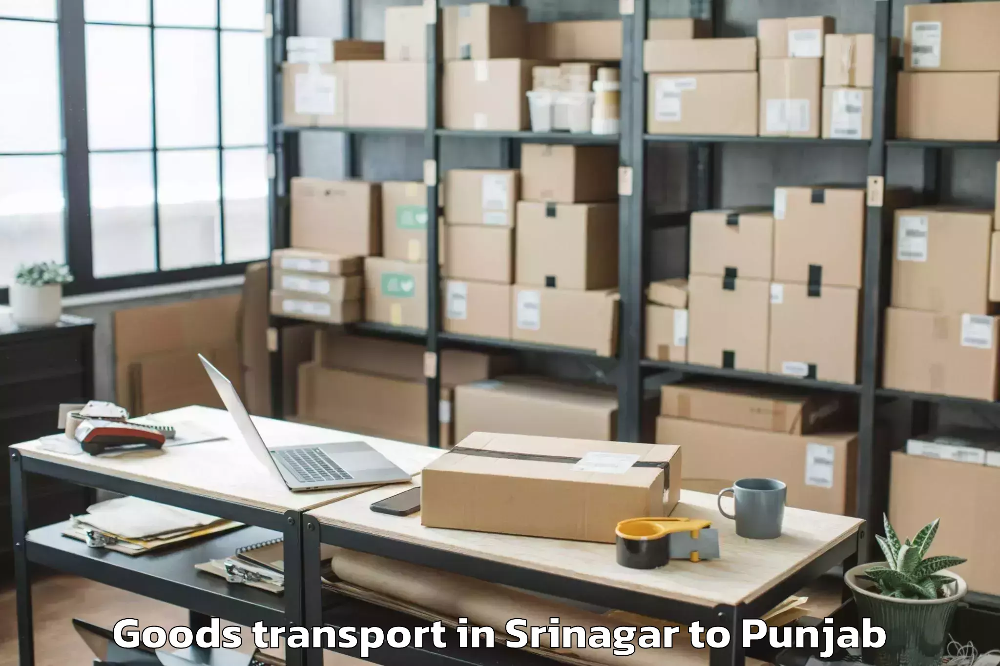 Discover Srinagar to Banur Goods Transport